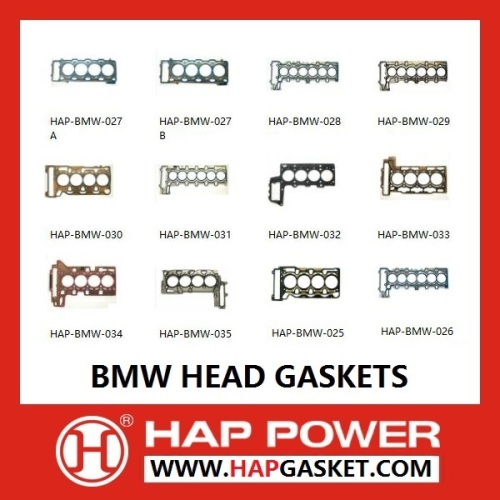 BMW Head Gasket