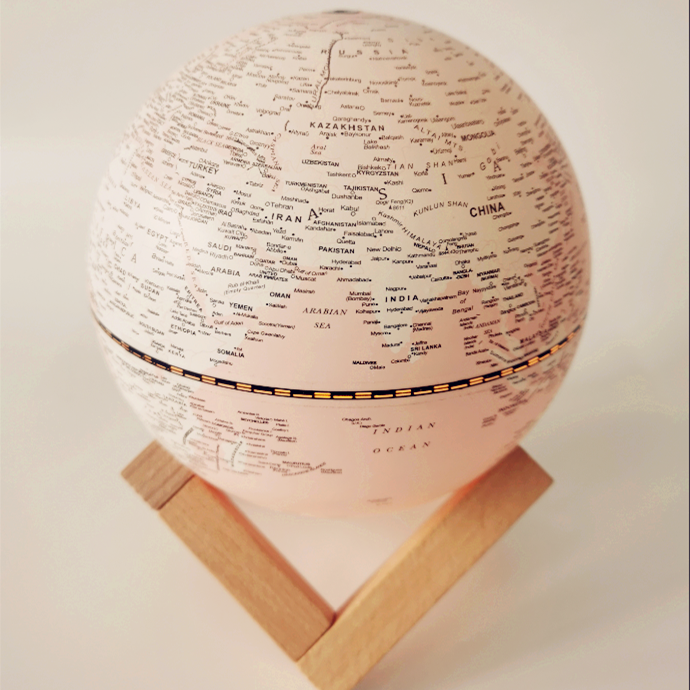 pink world globe light