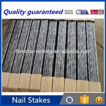 steel nail stakes for sale