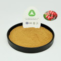 Dogwood Extract Powder Pure Natural Radix 10: 1 Orgânico