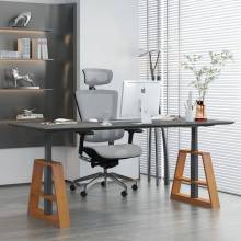 Nieuwe stijl luxe staand bureau