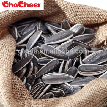 Sunflower seeds agriculture products