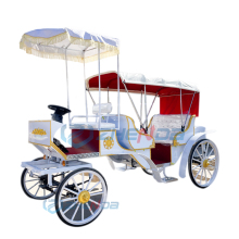 Romantic Electric Wedding Carriage for Six Outdoors in 2025
