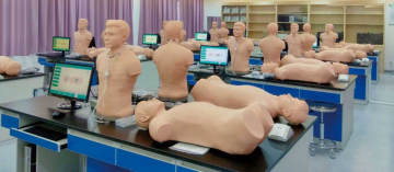 Cardio Abdominal Teaching Kit