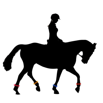 Factory Wholesale LED Durable Horse Leg Wraps for Riding Safety and Protection