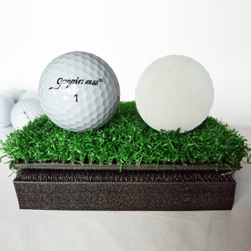 Pratica professionale Golf Ball