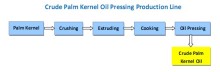 Crude palm kernel oil pressing machine process