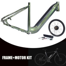 China Electric Bicycle Frames and Bike Parts