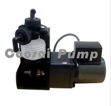 DS Type Bellows Metering Pump