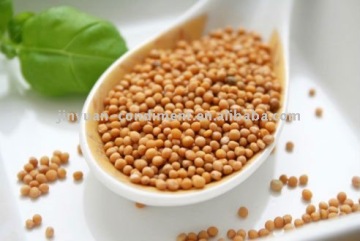 Mustard seeds