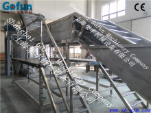 Fresh Vegetable and Fruit Washing And Sorting Machinery manufactured in shanghai gofun