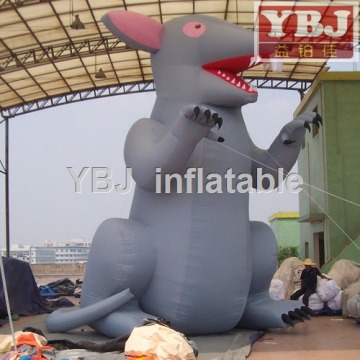 inflatable cut racoon cartoon