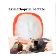 Buy online CAS 23256-42-0 trimethoprim lactate for sale