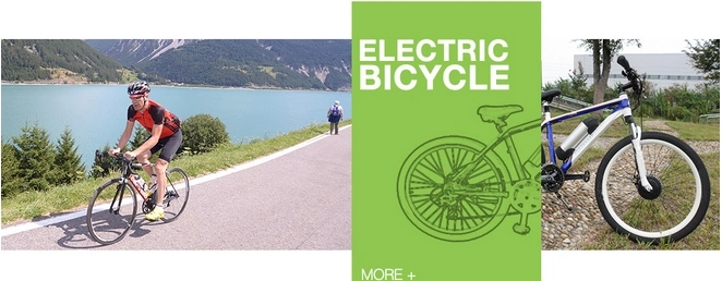 China Electric Bicycle 36V Bici Eletrica Mini Folding Electric Bike