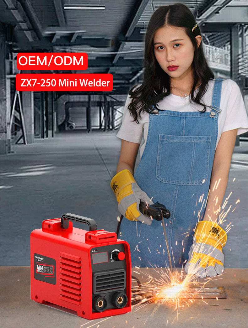 110V US Plug Portable Mini Welder Factory MMA Arc IGBT Inverter 250A Esab Ac Dc Copper Wire Digital Welding Machine OEM ZX7-250