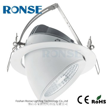 Ronse COB adjustable gold downlight
