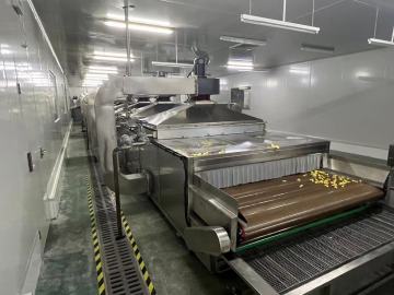 Potato Chips drying process