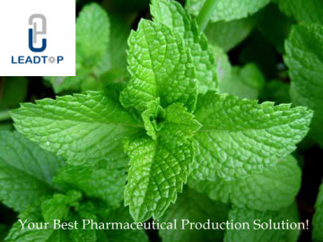 natural peppermint oil