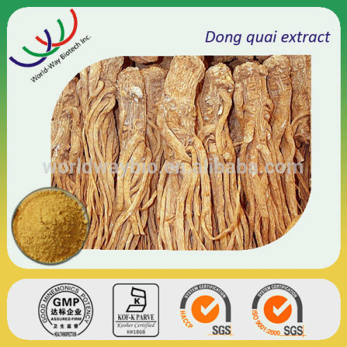 Free sample ! China CAS NO4431-01-0 dong quai root extract powder , dong quai root powder