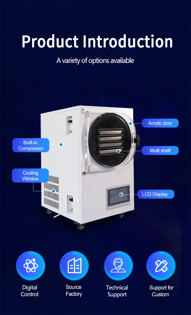 Factory Freeze Drying Equipment Prices