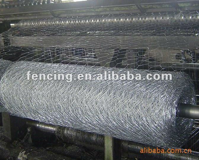 Chicken/Hexagonal Wire Mesh (5% discount in Jan.2012) En,BS,Din standard