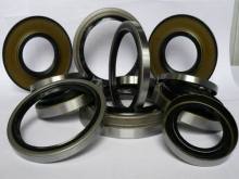 Diguo auto  oil seal O molding ring