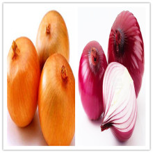 2014 Red Onions & Yellow Onions