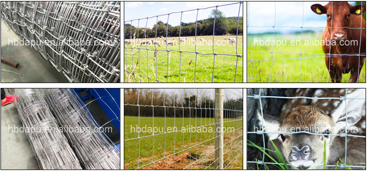 High quality automatic grassland field cattle fence mesh making machine