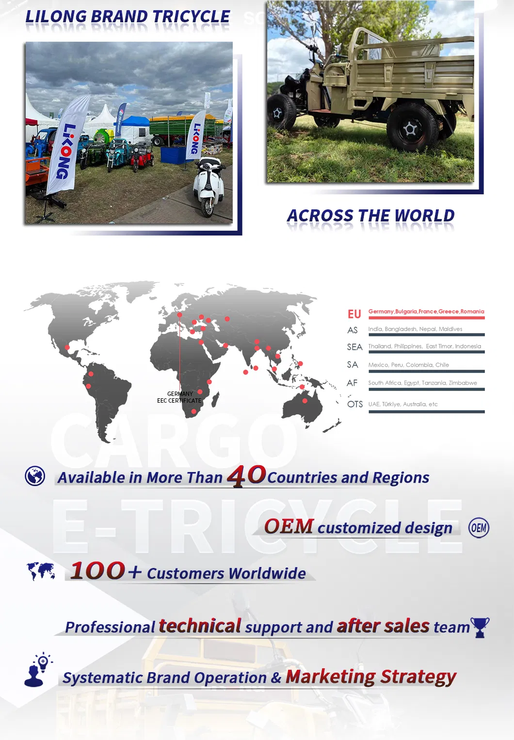 E Rickshaw for Export