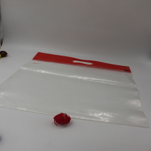 Clear tote ziplcok bag for documents