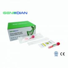 SARS-Cov-2 Virus Collection and Preservation System