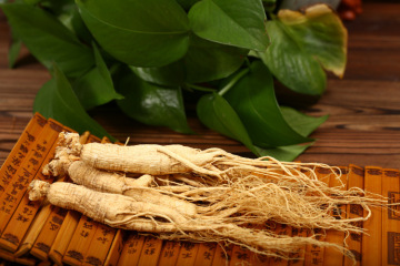 High quality medicinal materials white ginseng