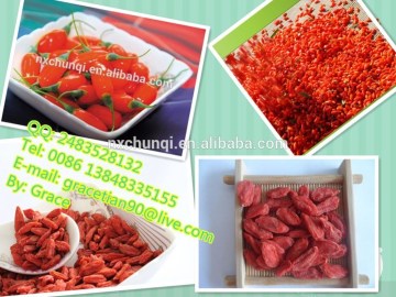 LOW PESTICIDE RESIDUE GOJIBERRY/ORGANIC GOJIBERRY/GOJI