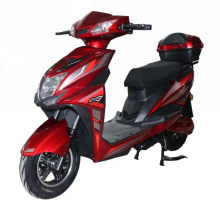 folding 2 wheel large capacity pet electric bicycle