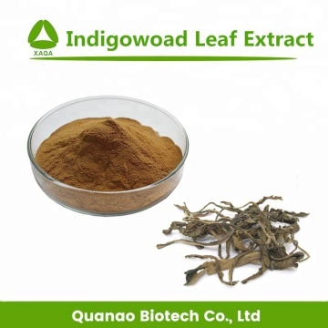 Indigo Woad Leaf Extract Woad Leaf Extract Powder
