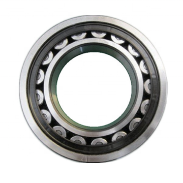 Full Complement Cylindrical Roller Bearing BKT247