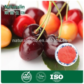 100% Natural Cherry Juice Concentrate Powder/ Cherry Extract