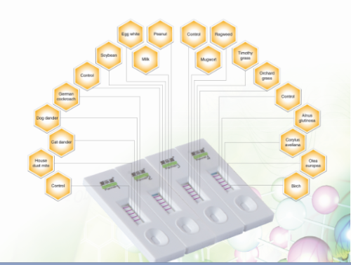 Birch, tree pollen allergy test card