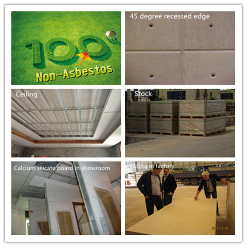 Fiber Cement Board--CE Approved Multi-Purpose Partition (Ceiling)