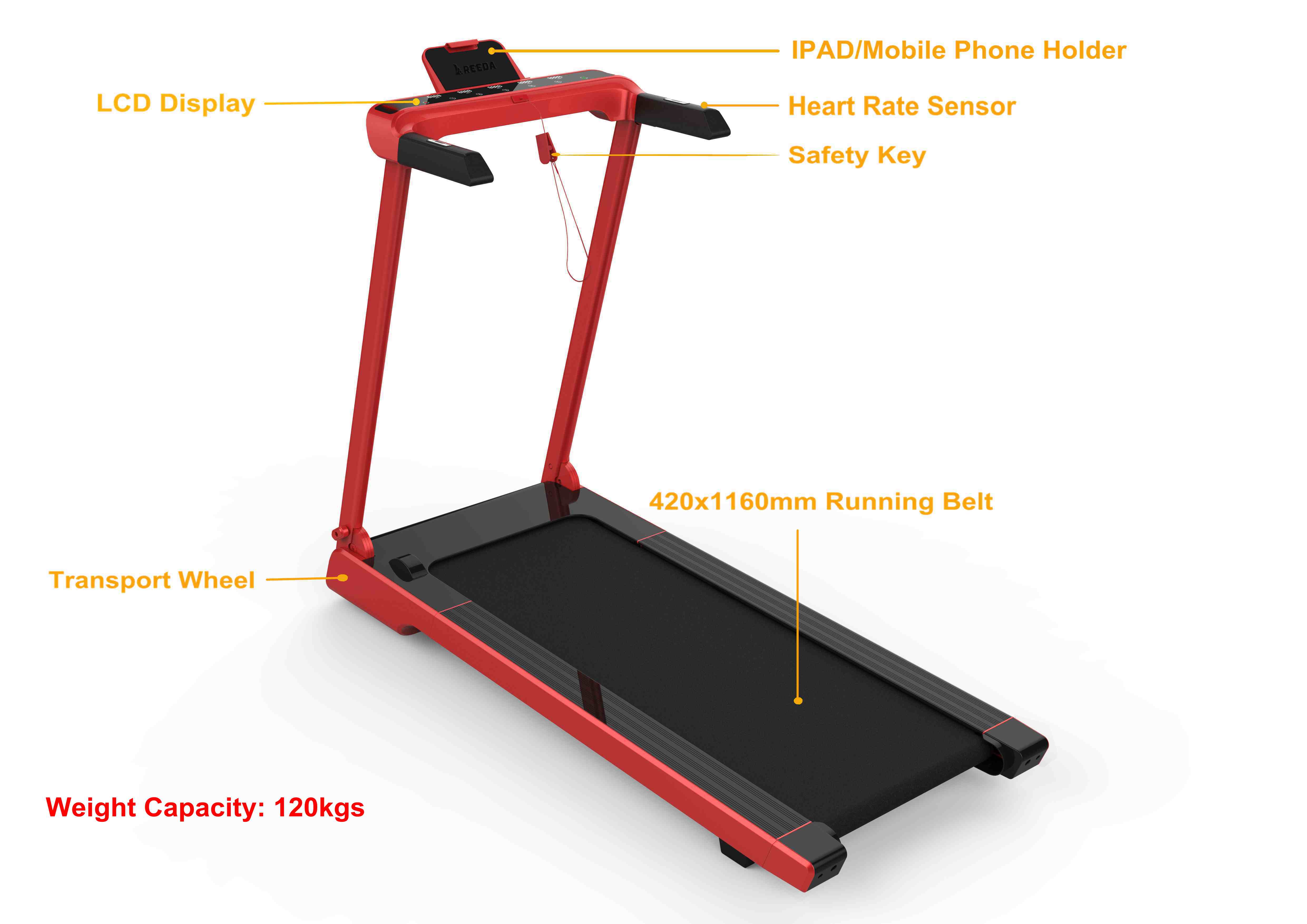 motorized treadmill