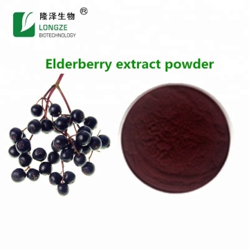 black elderberry extract Anthocyanins 10%