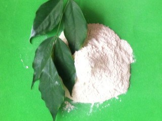 Calcium bentonite (100% natural,for animal feed,etc.CNPC supplier)