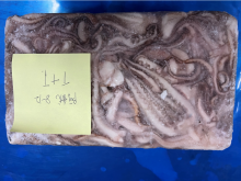 Frozen Squid Tubes And Tentacles Illex Argentinus