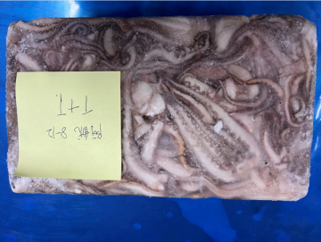 Frozen Squid Tubes And Tentacles Illex Argentinus