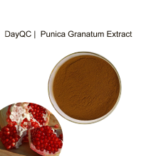 Food Grade Punicalagin Bulk Punica Granatum Extract