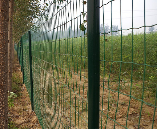 Anping factory PVC coated holland wire mesh fence for sale