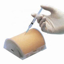 Multi-Functional Intramuscular Injection Training Model: Enhancing Skills and Accuracy in Medical Training