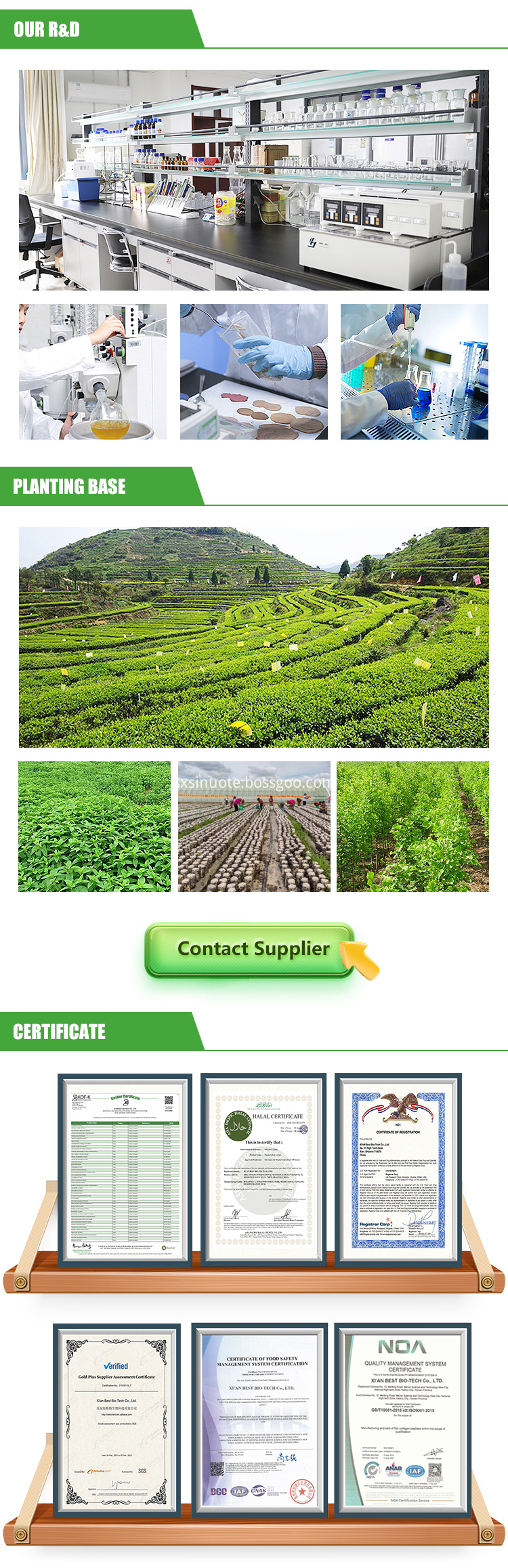 Plant Extracts Plant Extracts
