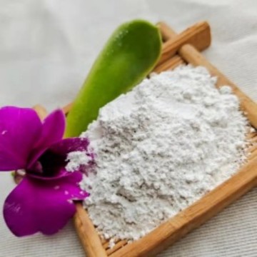 Bột silicon dioxide cho sơn không thấm nước cho nhựa