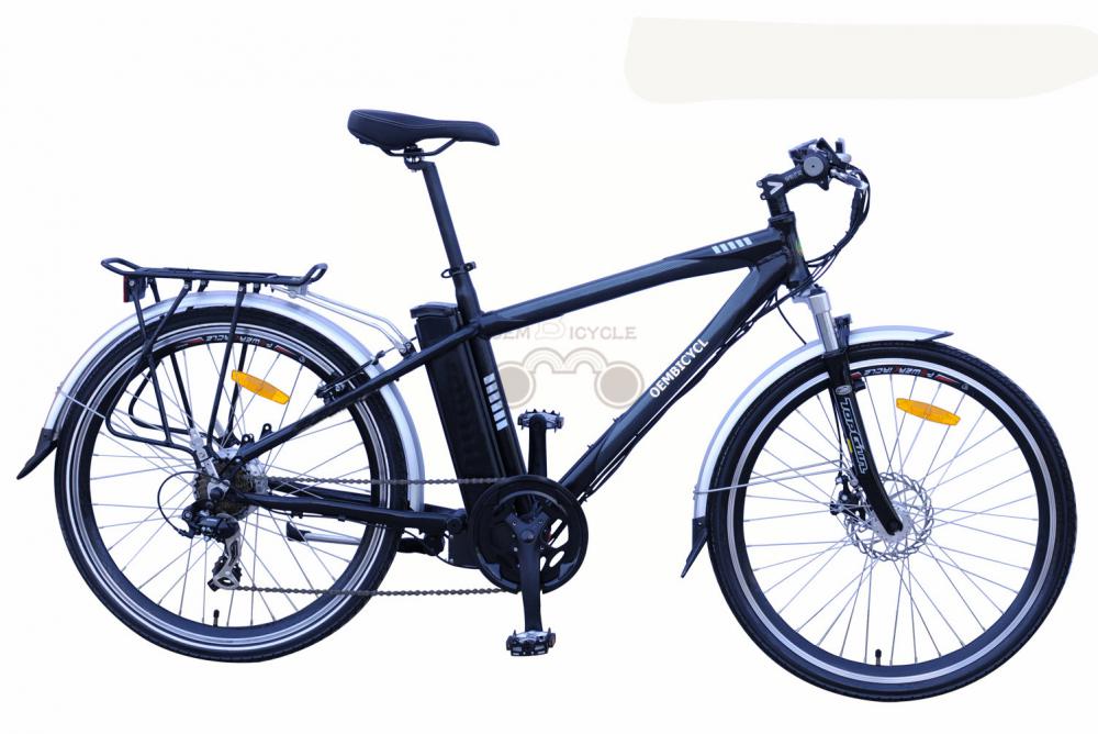 e bike01